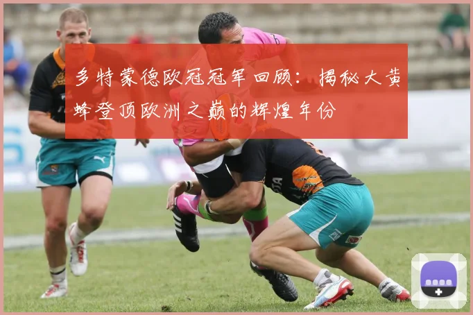 多特蒙德欧冠冠军回顾：揭秘大黄蜂登顶欧洲之巅的辉煌年份
