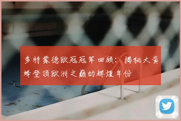 多特蒙德欧冠冠军回顾：揭秘大黄蜂登顶欧洲之巅的辉煌年份